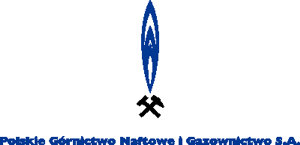 link do www.pgnig.pl